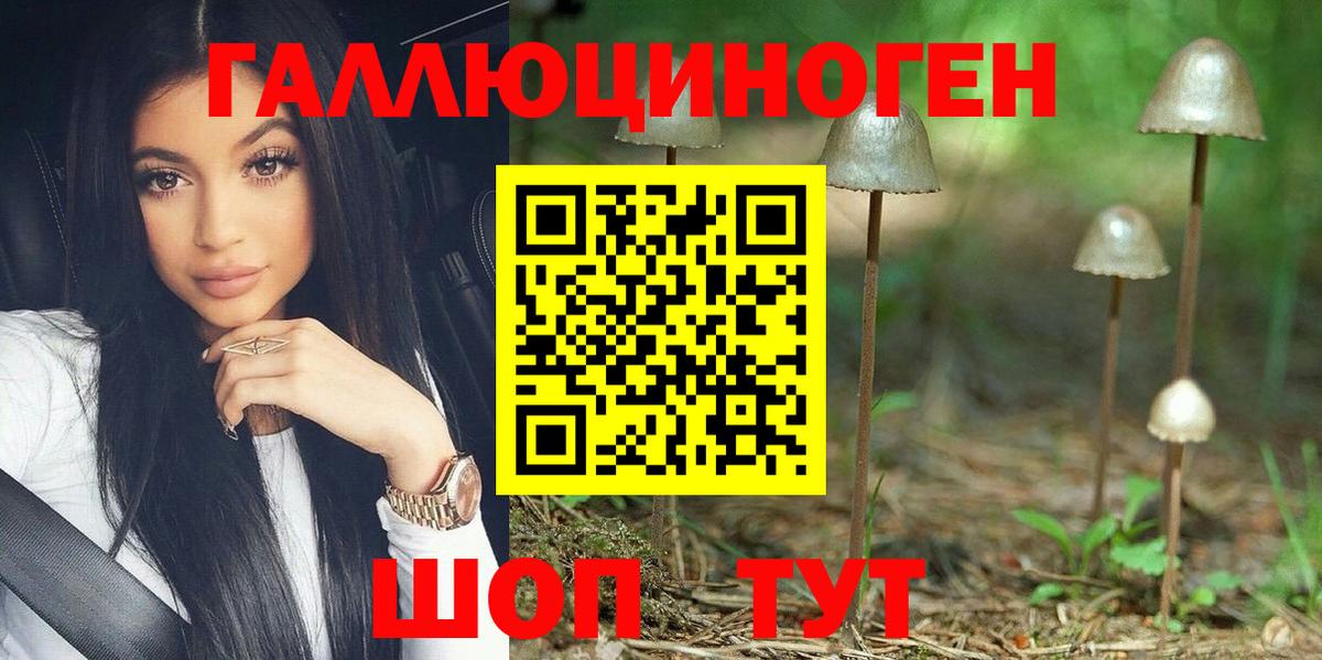 Галлюциногенные грибы Psilocybine cubensis Ярцево