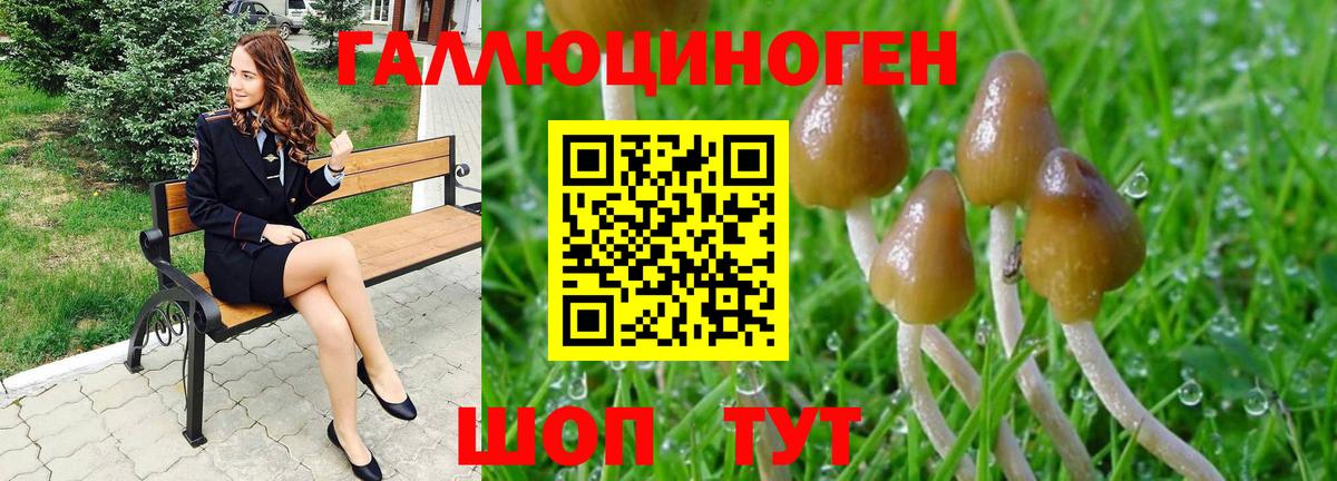 Галлюциногенные грибы MAGIC MUSHROOMS  Вход с VPN  где найти   Ярцево  Галлюциногенные грибы GOLDEN TEACHER 